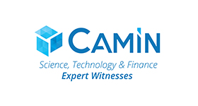CAMIN - Cambridge Innovation Consulting	